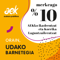 Udako Barnetegiak